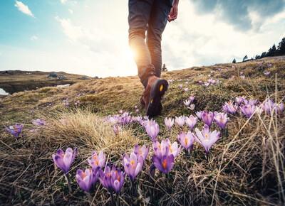 person walking through grasslands with purple flowers